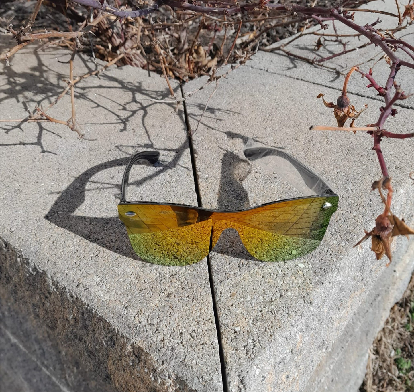 Coshini sunglasses and Accessories